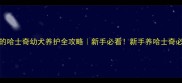 50天大的哈士奇幼犬养护全攻略新手必看新手养哈士奇必看指南