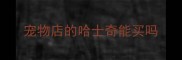 宠物店的哈士奇能买吗