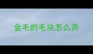金毛的毛块怎么弄