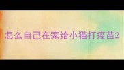 怎么自己在家给小猫打疫苗