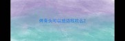 烤骨头可以给边牧吃么