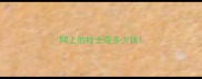 网上的哈士奇多少钱