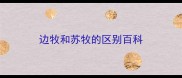 边牧和苏牧的区别百科