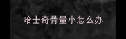 哈士奇骨量小怎么办