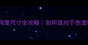 哈士奇专用狗笼尺寸全攻略如何选对不伤宠物的航空箱