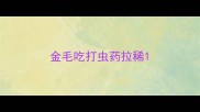 金毛吃打虫药拉稀