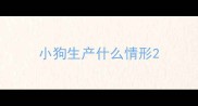 小狗生产什么情形