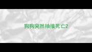 狗狗突然抽搐死亡