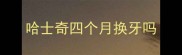 哈士奇四个月换牙吗
