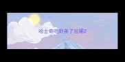 哈士奇吃虾条了拉稀