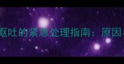 哈士奇幼犬半夜呕吐的紧急处理指南原因与科学应对方案