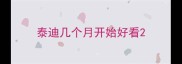 泰迪几个月开始好看