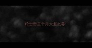 哈士奇三个月大怎么养