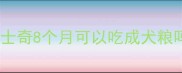 哈士奇8个月可以吃成犬粮吗