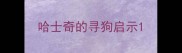 哈士奇的寻狗启示