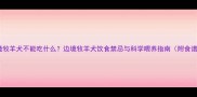 边境牧羊犬不能吃什么边境牧羊犬饮食禁忌与科学喂养指南附食谱