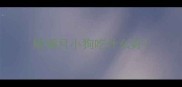 刚满月小狗吃什么好