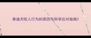 泰迪犬咬人行为的原因与科学应对指南