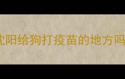 沈阳给狗打疫苗的地方吗