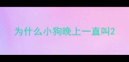 为什么小狗晚上一直叫