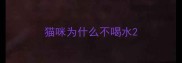 猫咪为什么不喝水