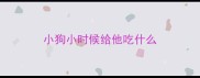 小狗小时候给他吃什么