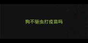 狗不驱虫打疫苗吗
