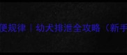 2个月萨摩耶便便规律幼犬排泄全攻略新手必看养宠指南