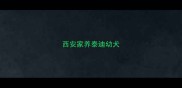 西安家养泰迪幼犬