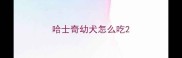 哈士奇幼犬怎么吃
