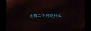 土狗二个月吃什么