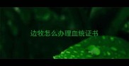 边牧怎么办理血统证书