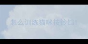 怎么训练猫咪按铃铛