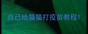 自己给猫猫打疫苗教程