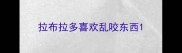 拉布拉多喜欢乱咬东西
