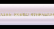 幼犬睾丸发育全何时能看见科学判断方法及饲养建议