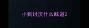 小狗讨厌什么味道