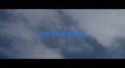 边牧耳朵折的太高