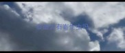 泰迪犬有寄生虫吗