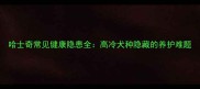 哈士奇常见健康隐患全高冷犬种隐藏的养护难题