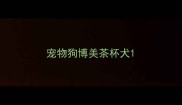 宠物狗博美茶杯犬