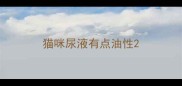 猫咪尿液有点油性