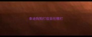 泰迪狗狗打疫苗往哪打