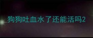 狗狗吐血水了还能活吗