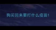 狗买回来要打什么疫苗