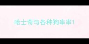 哈士奇与各种狗串串
