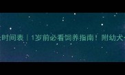 拉布拉多成长时间表1岁前必看饲养指南附幼犬成犬全阶段