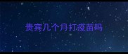 贵宾几个月打疫苗吗