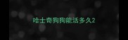 哈士奇狗狗能活多久