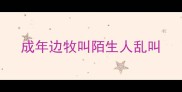成年边牧叫陌生人乱叫